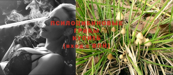 крисы Беломорск