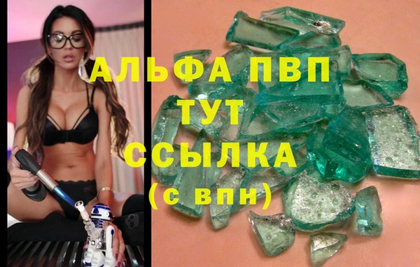 крисы Беломорск