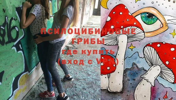 не бодяженный Белокуриха